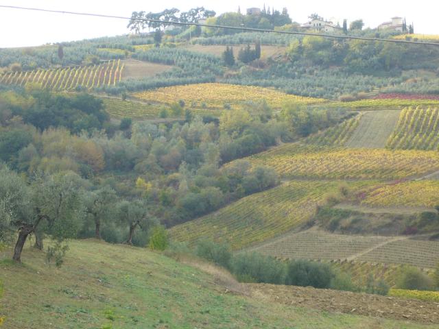 Photo 12 - Maison 4 personnes à MONTESPERTOLI