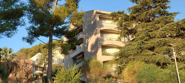 Photo 8 - Gîte 2 personnes à HYÈRES LES PALMIERS
