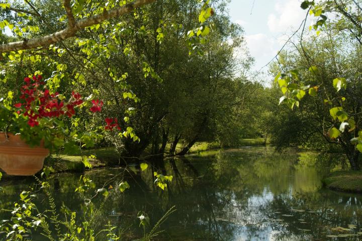 Location vacances SARLAT LA CANÉDA - photo n°10 annonce C2292400