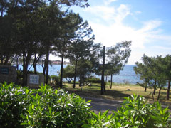 Photo 4 - Villa 6 personnes à LUMIO