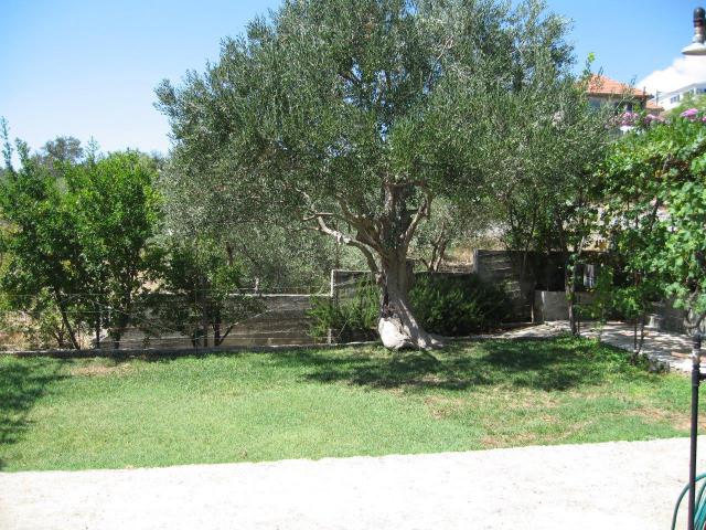 Photo 3 - Appartement 8 personnes à TROGIR-SLATINE