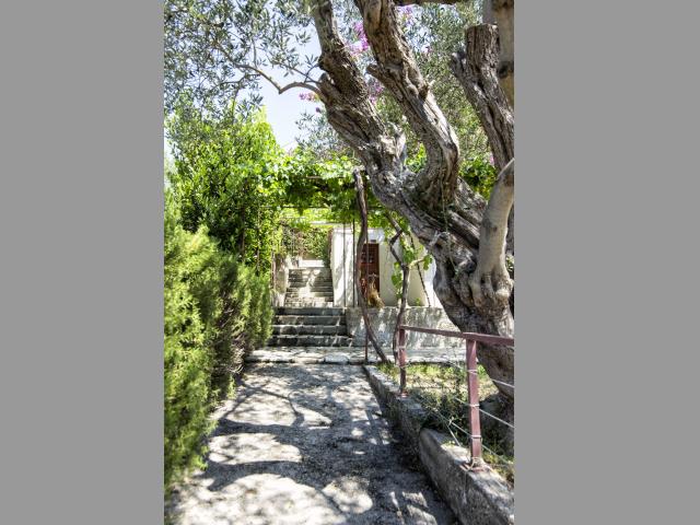 Photo 6 - Appartement 4 personnes à TROGIR-SLATINE