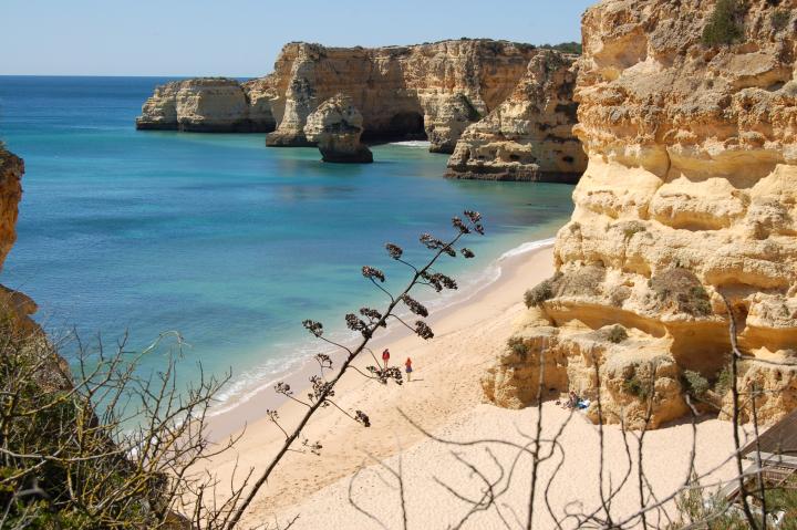 Location vacances ARMAÇÃO DE PÊRA - photo n°10 annonce P2199900