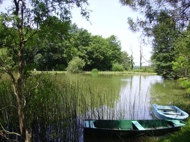 Photo 2 - Gîte 5 personnes à BERGERAC