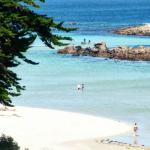 photo du propriétaire